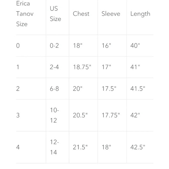 Erica Tanov Blue Denim Rye Dress Pockets Striped Size 4 XL - Picture 10 of 10